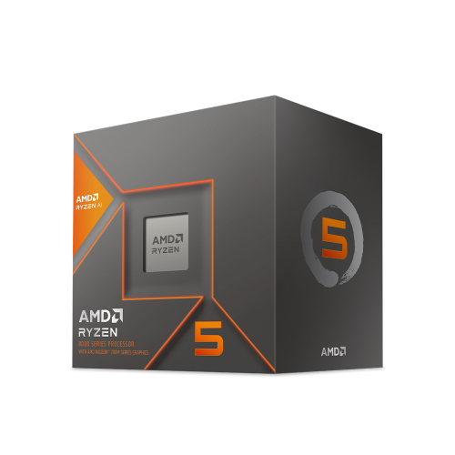 AMD 라이젠5-5세대 8600G 피닉스 정품 확대 이미지